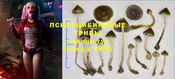 трава Нягань