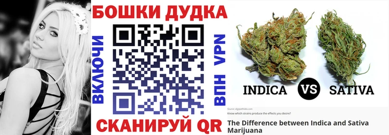 купить наркотик  Красный Холм  Шишки марихуана индика 