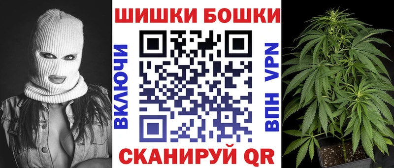 Бошки Шишки гибрид Красный Холм